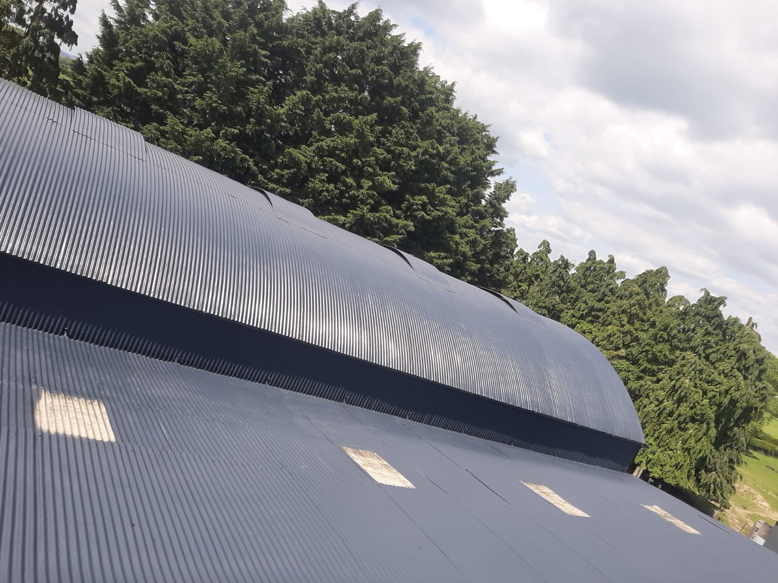 Cleaning and Restoration Specialists